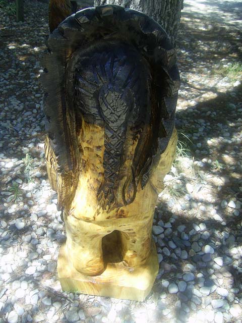 Cigar Indian Back